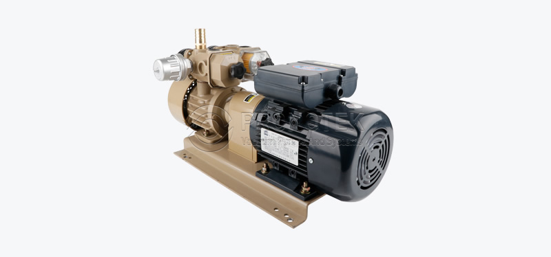 PNK CRP S60 Carbon vacuum pumps