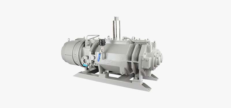 PNK DSP Series screw vacuum pumps